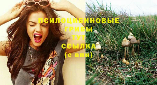 mdpv Пестово